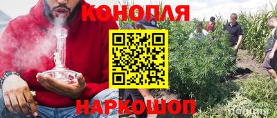 стафф Обь