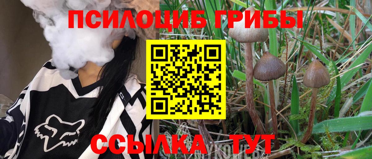 Галлюциногенные грибы Psilocybe  Вход с VPN  Семёнов 