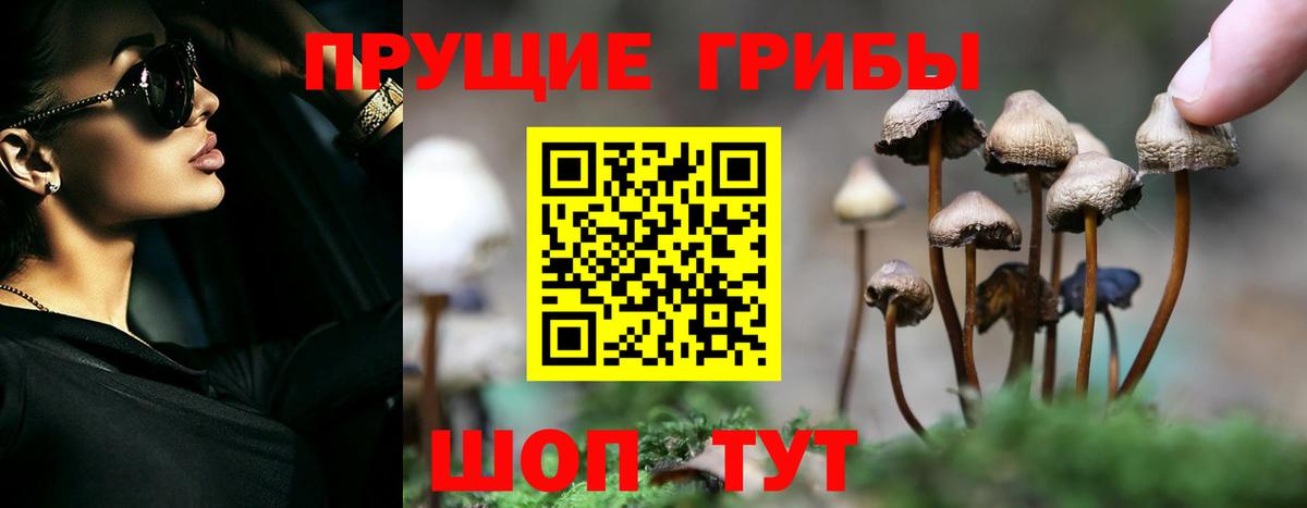 Псилоцибиновые грибы прущие грибы Семёнов